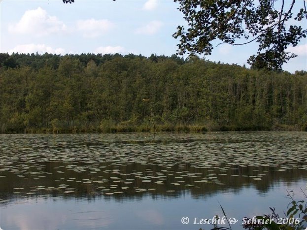 Strehlesee bei Prenden by wasbeertje