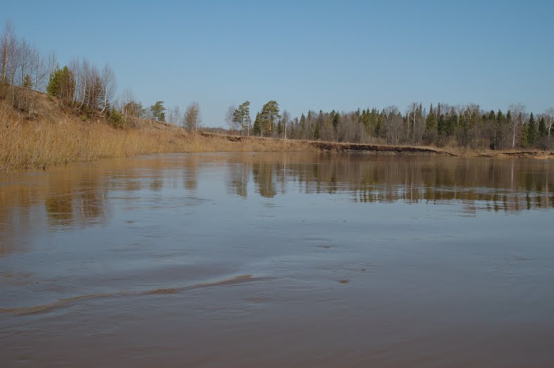 Чепца/взгляд вниз по течению/высокая вода by Mikhail Buldakov