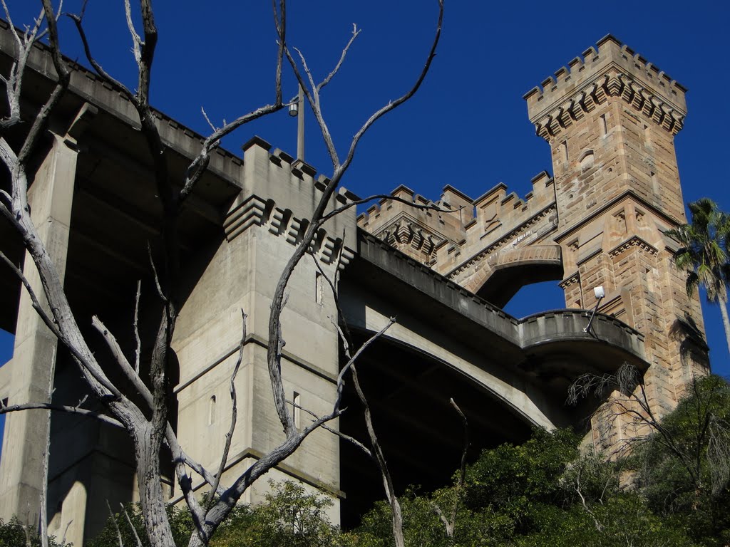 Cammeray Suspension Bridge, Cammeray Side Looking South East by Adrian Lehmann