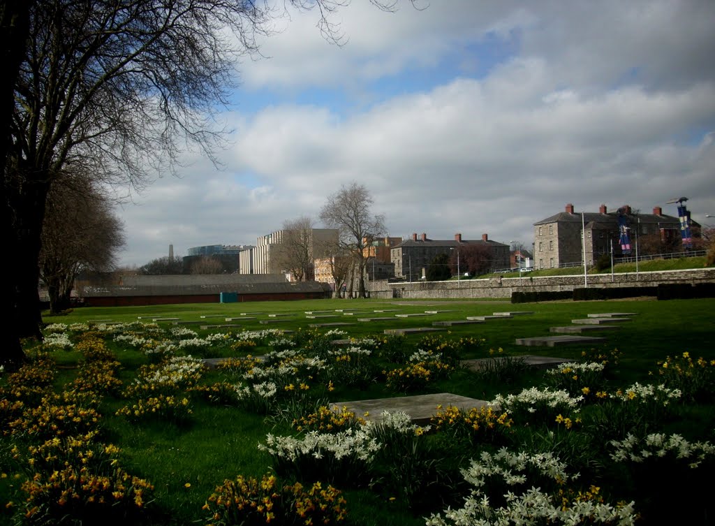 Memorial Park 2 by Tom Healy