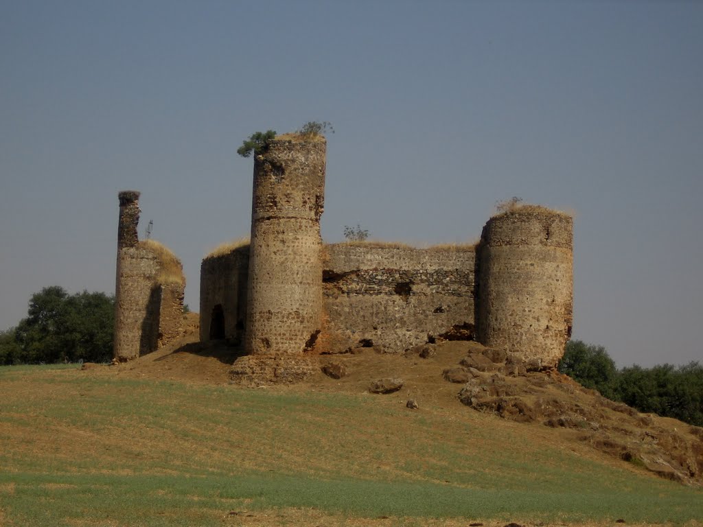 Vía de la Plata, Castillo de las Torres by angelpilger