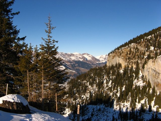 View from Elsigenalp by angelique_e