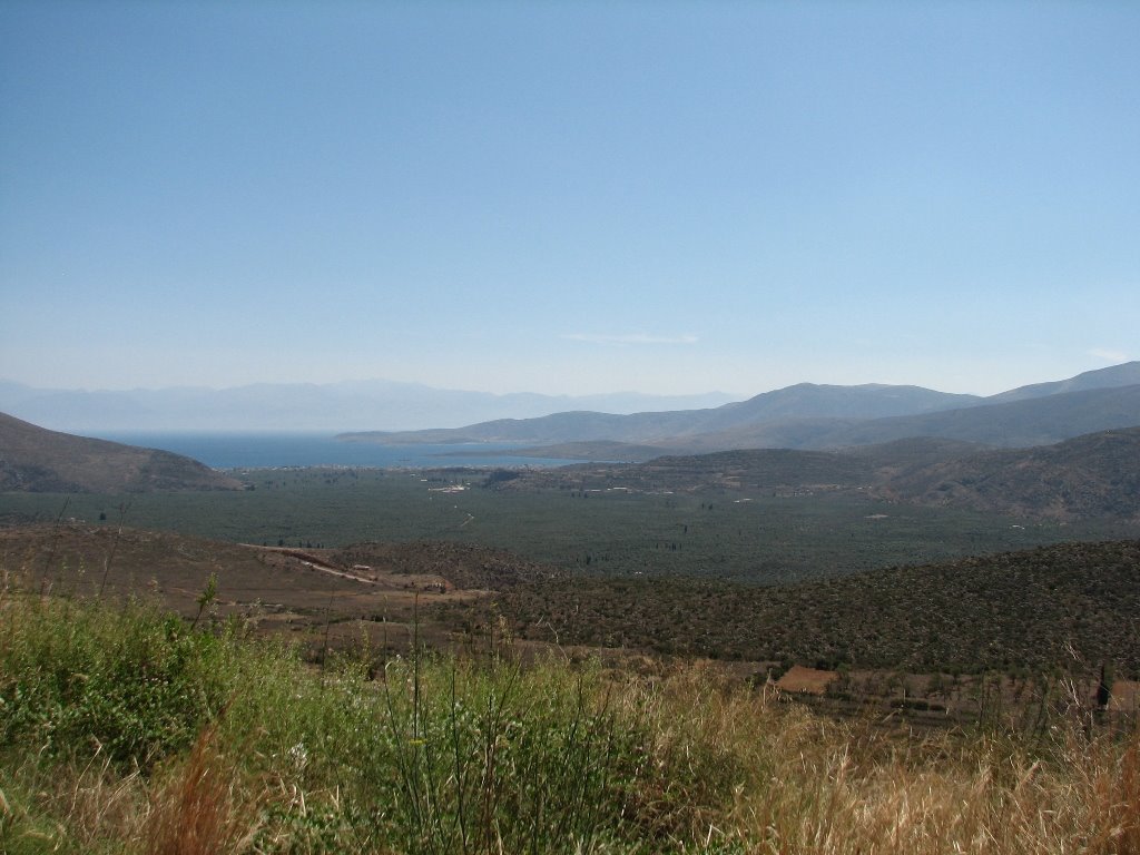 Delphi, Greece by mbosek