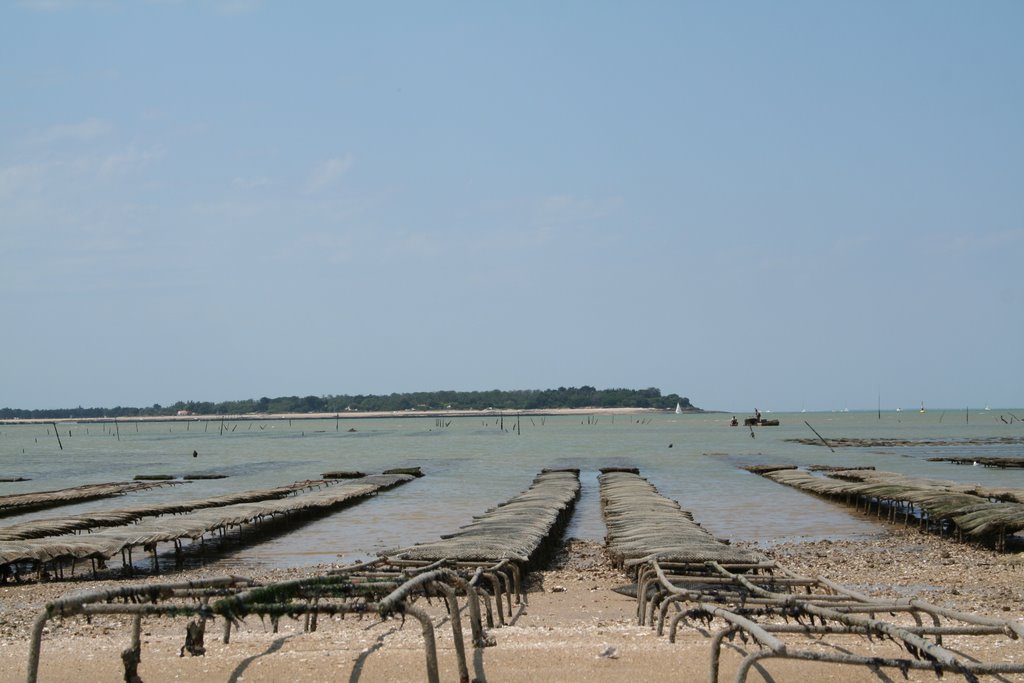 Parc ostréicole à Fouras by romain3395