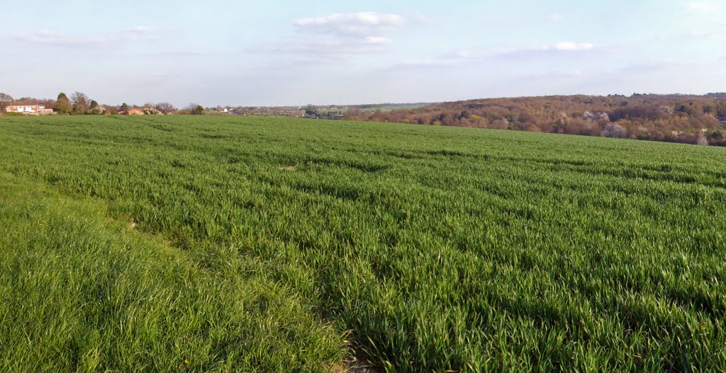 Longfield valley by Jerry Clarke