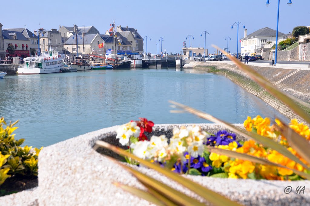 Port-en-Bessin: Le port. by Y. A, Villyssois.