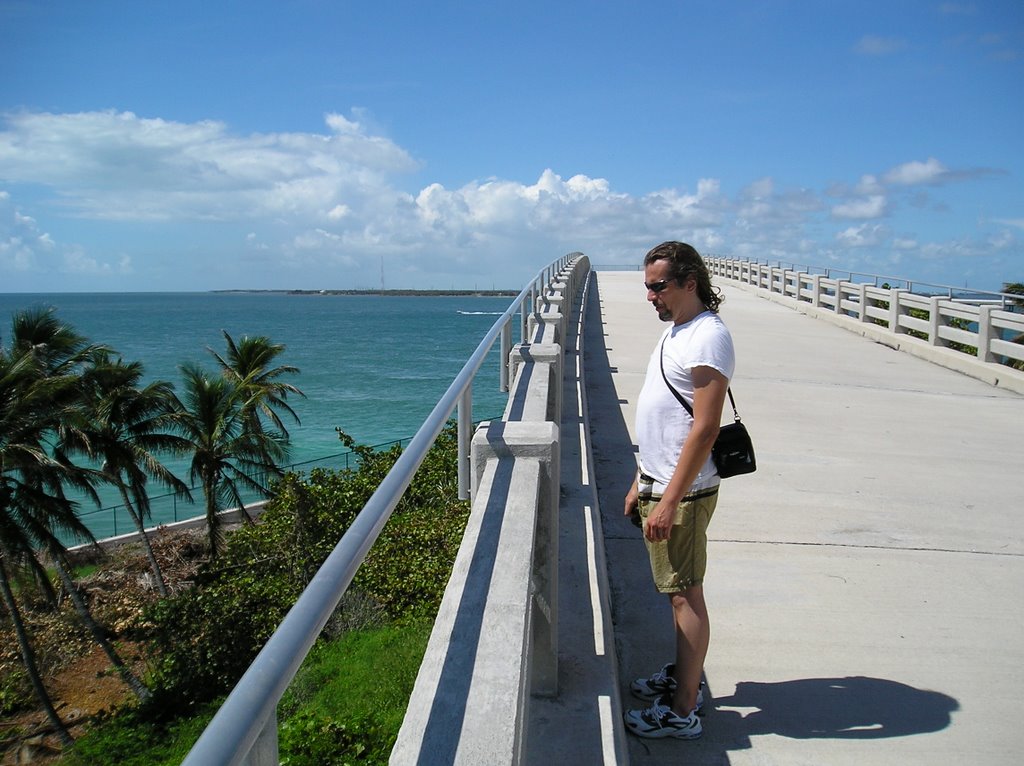 Old Bahia Honda Bridge by Jörgen N