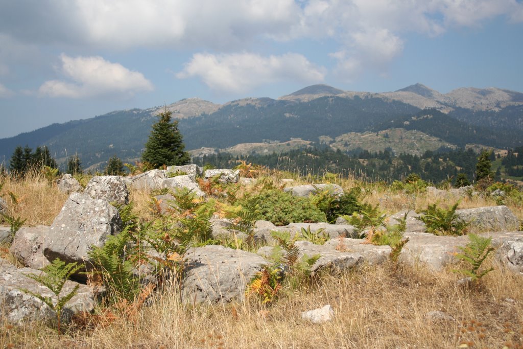 TEMPLE OF HERCULES - OETI by ΜΑΡΚΑΤΣΕΛΗΣ ΒΑΓΓΕΛΗΣ