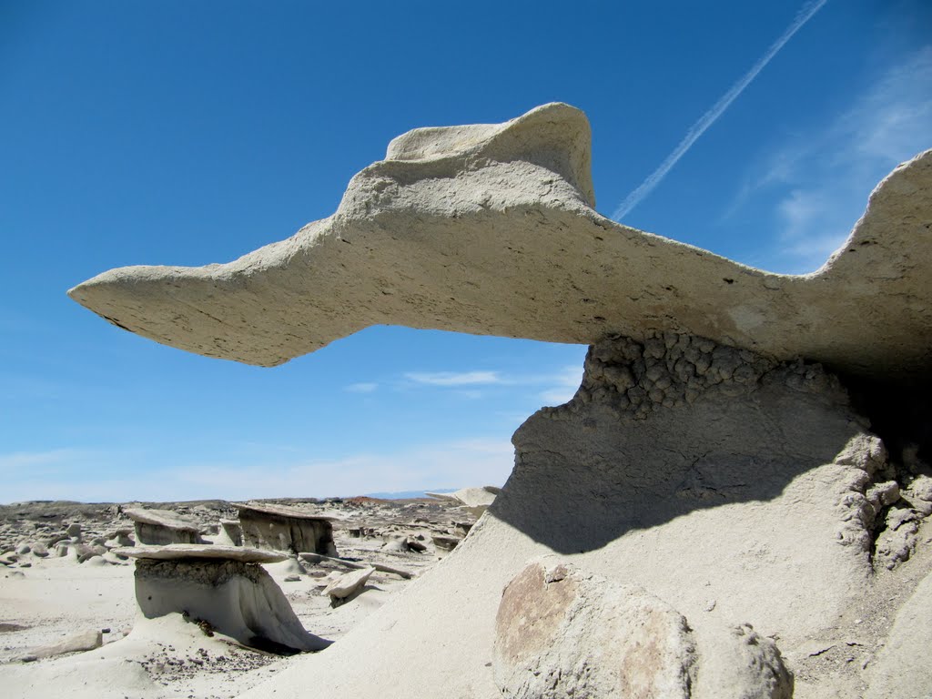 Bisti Badlands by ea1494