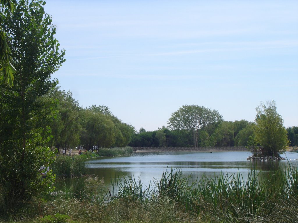 Lago de Butarque en Leganés by jfdelafuente