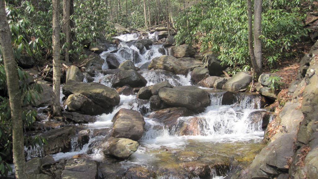 Near the Base of Glen Onoko Falls by AndrewO