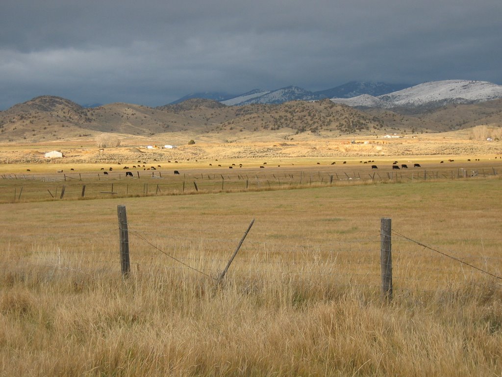 State Route 287, outside Virginia City by Aeric