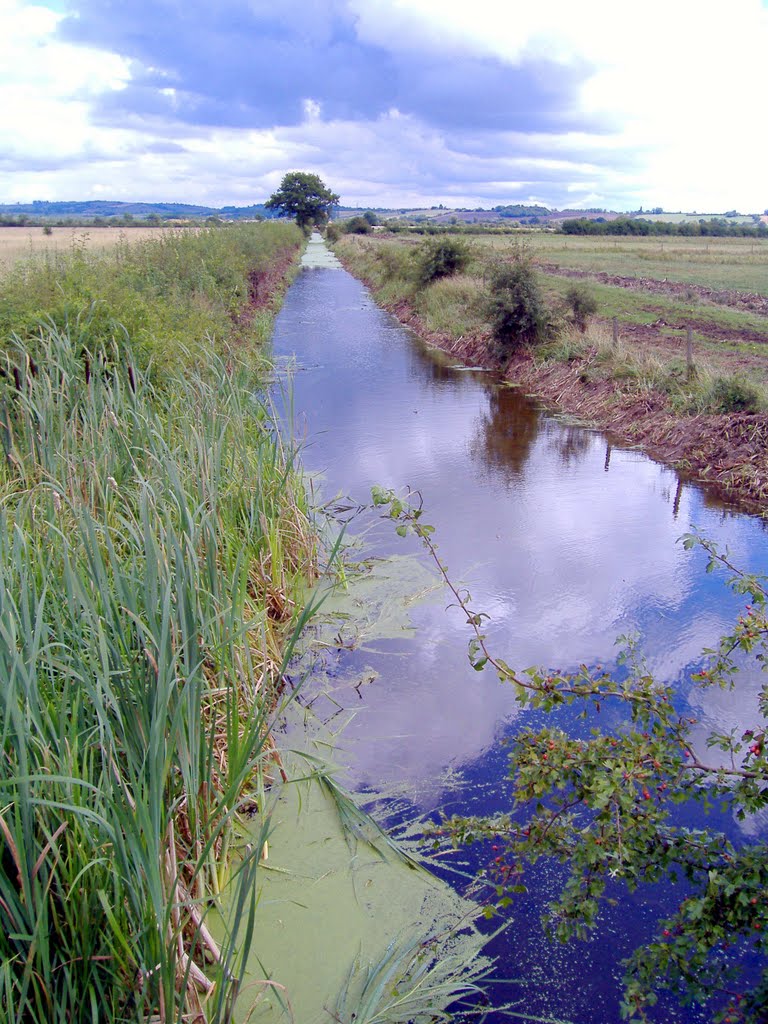 Otmoor by Clark Priestley