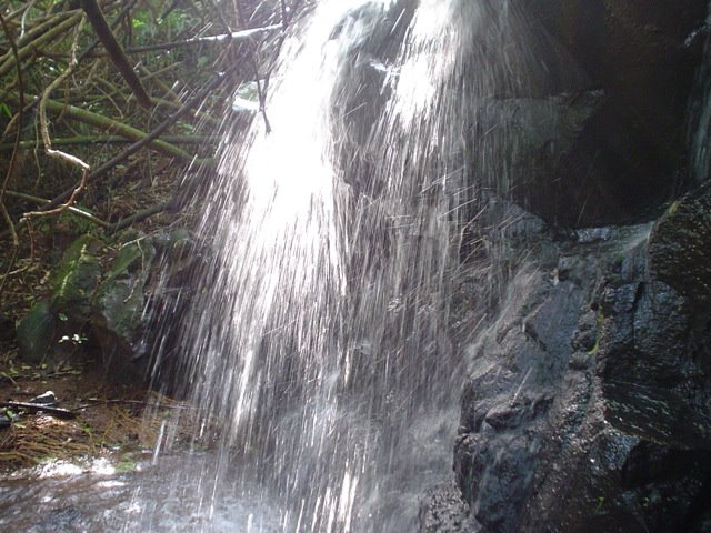 Sitio Morro Reuter - RS - 1a. Cascata Acima by Marcelo Gostinski