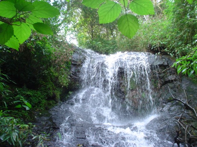 Sitio Morro Reuter - RS - 2a. Cascata by Marcelo Gostinski