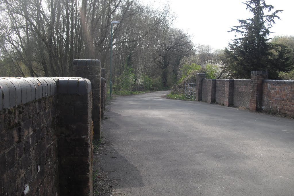 Millhams Bridge & Old Road, Longham by timpami