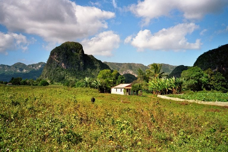 Viñales - Mogotes mit Hütte by Obstsalat