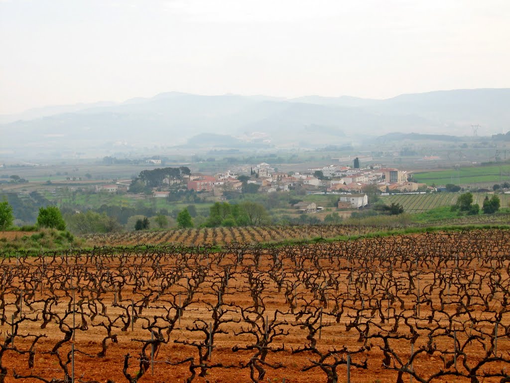 Santa Fe del Penedès by joan miquel