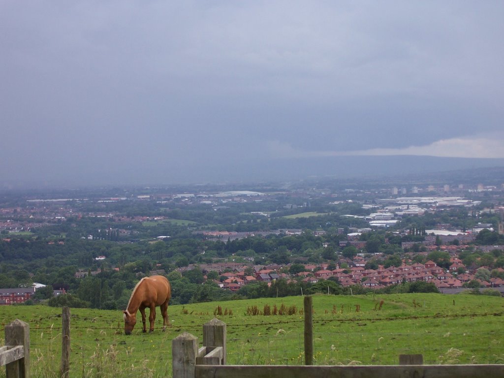 View from Werneth Low Road by GrahamC