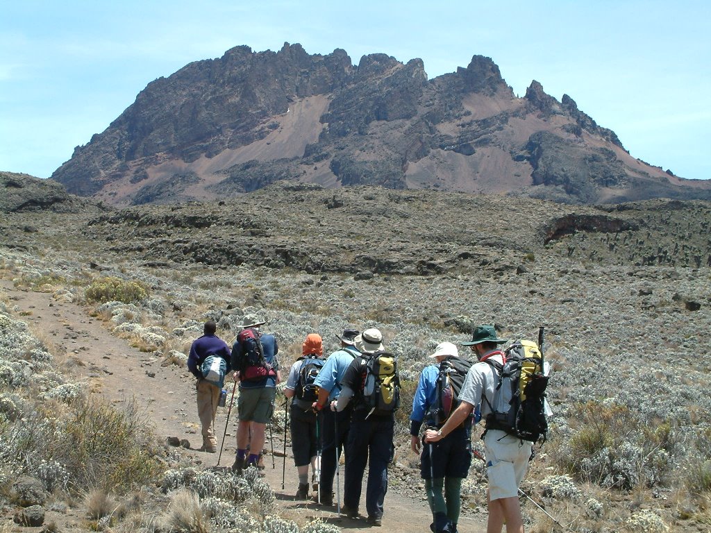 Mawenzi and kili climbers by WaldoMP