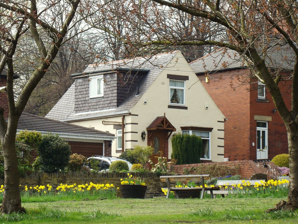 Priory Road house framed by trees, Ecclesfield, Sheffield S35 by sixxsix