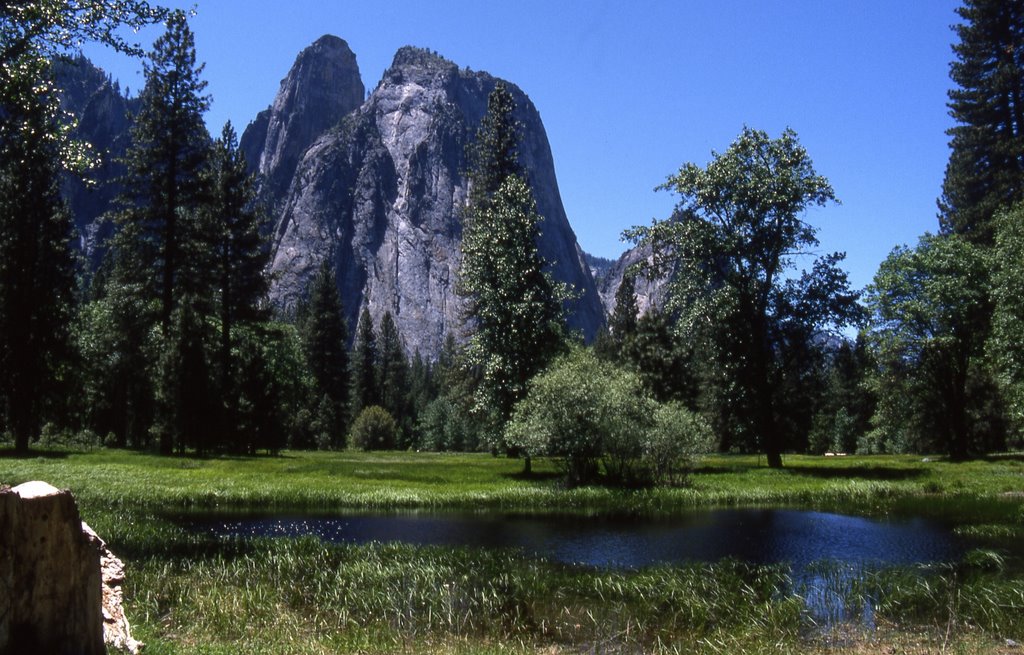 Im Yosemite Valley by rolse41