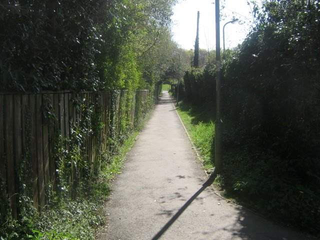 The Basingstoke footpath leads along there by Robert'sGoogleEarthPictures