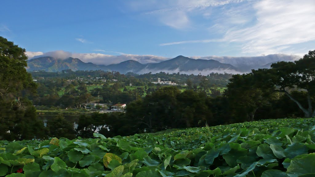 "storm" in SoCal by Henry P. Gray