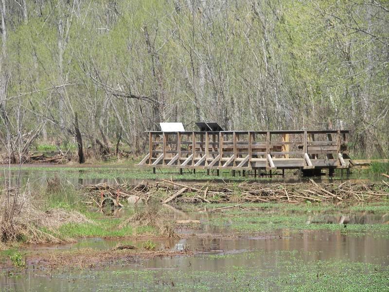 Observation Deck, Lake Conestee, SC by Michael E. Crocker