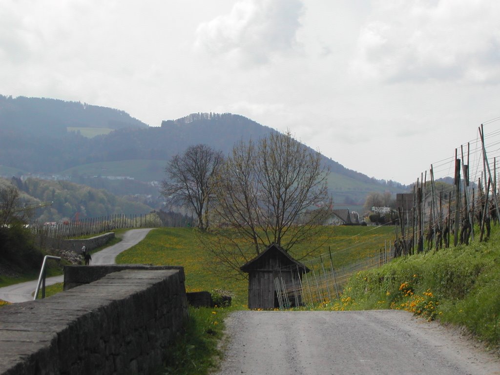 Blick in Richtung Wilen, oben im Hintergrund Schindellegi by HOLZPLATTENHANDEL EINSIEDELN PAUL KAELIN- Hol