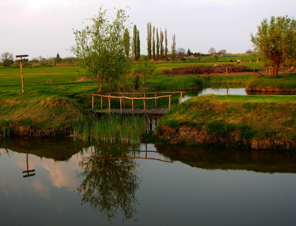 Drveni mostić; Wooden bridge by Igor Simic