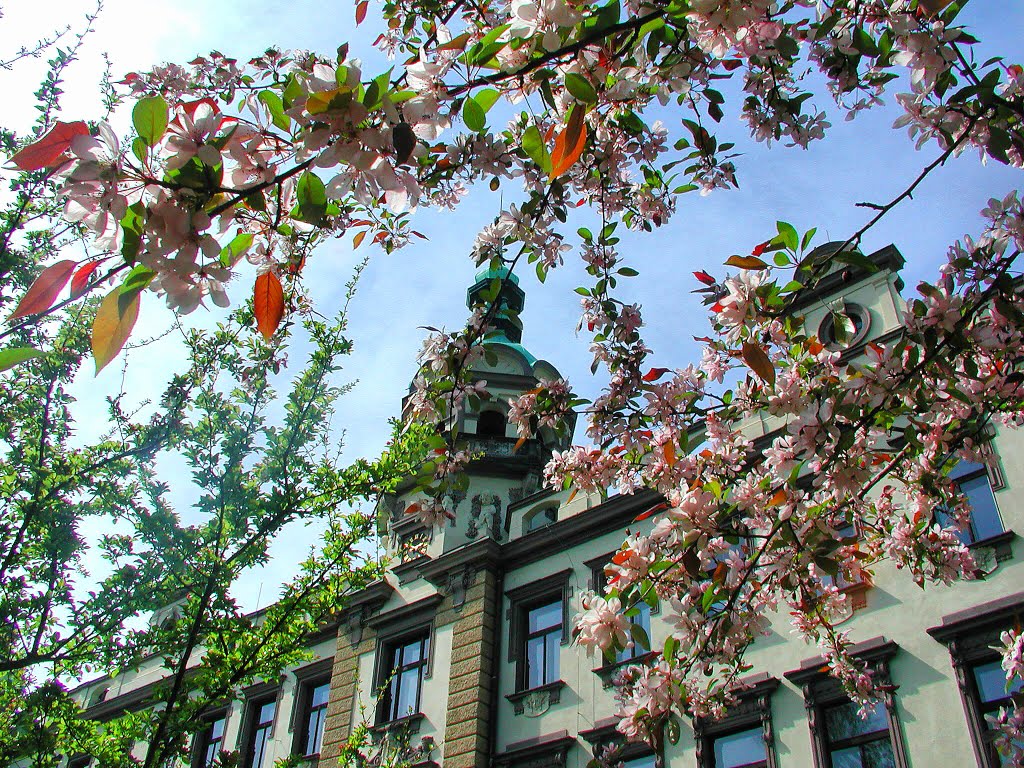 Turnov, základní škola (primary school) by Rodrich