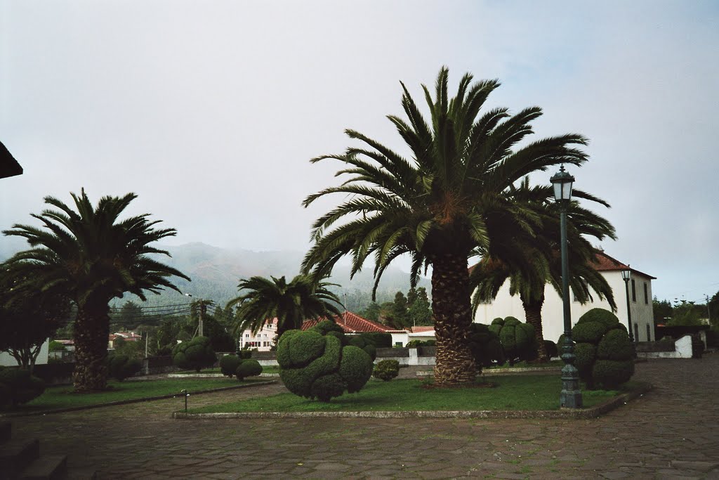 Madeira, Santo Da Serra by Schamberl