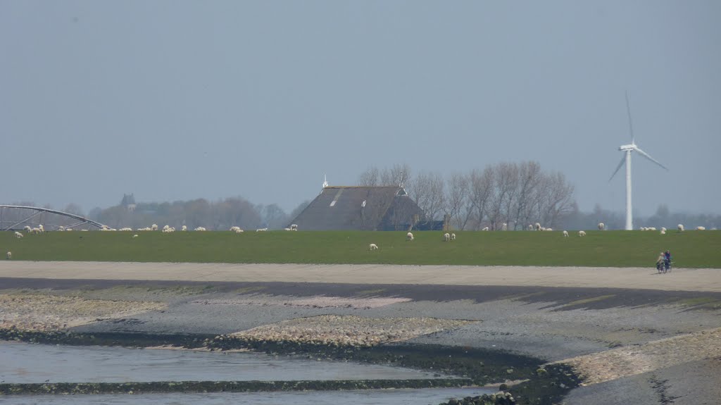 Dijk met schapen tussen Zürich en Harlingen by sdevries