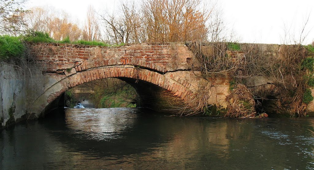 Il vecchio ponte di Grumone by Daniele Disingrini