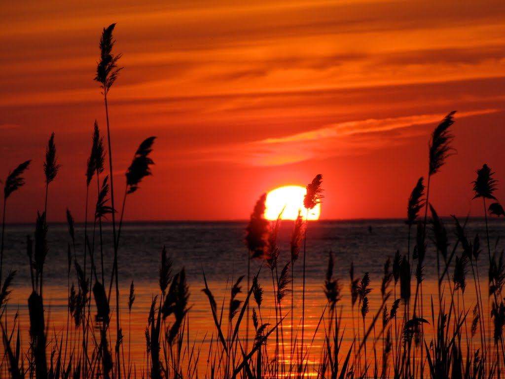 Door County Sunset by Alejandro W