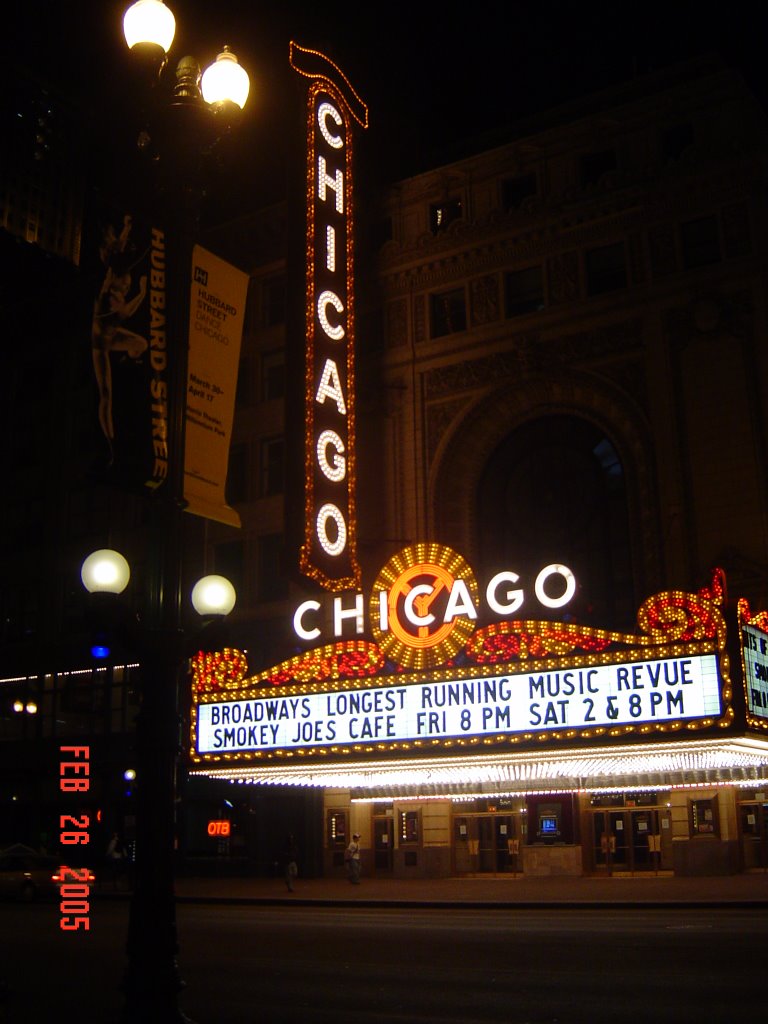 Chicago Loop, Chicago, IL, USA by msinski