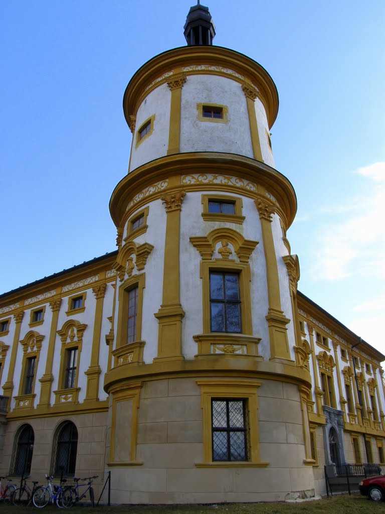 Věž zámku Linhartovy, 2 (Tower of Linhartovy Castle) by MAPP HUDRANS