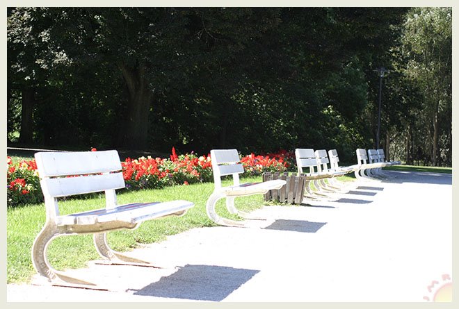 Bench army at Stadtpark by J. Radlbeck