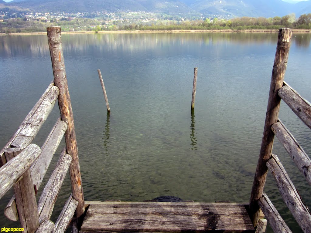 Lago di Alserio - Centro di Educazione Ambientale ( Parco regionale della valle del Lambro) by Pigazzi Fabrizio