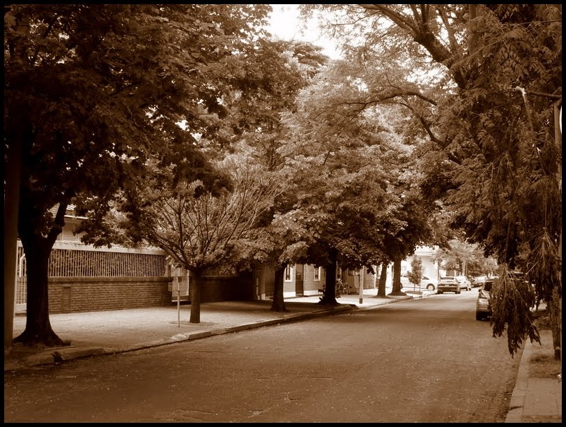 Calle Mariscal Solano López by LichuKnzpt