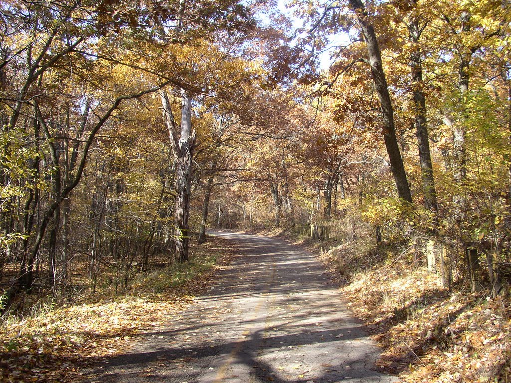 Stagecoach Road, Portage Indiana, Fall, 2009 by Huffmun