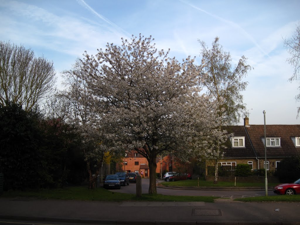 Stansted Road, Bishop's Stortford by alastairwallace