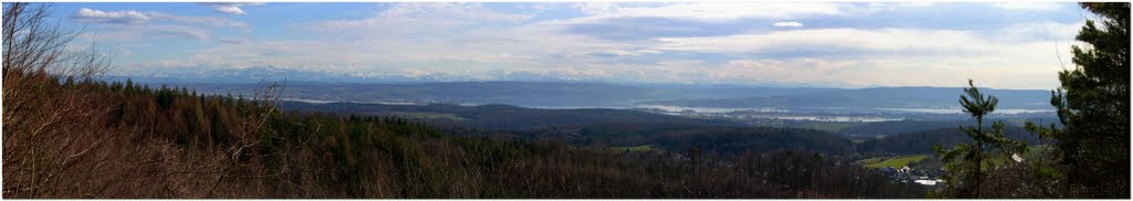 Bodenwald - Alpenblick mit Reichenau und Mettnau (SE-SW, 100/20°, 75mm) by Bernd Lang KN