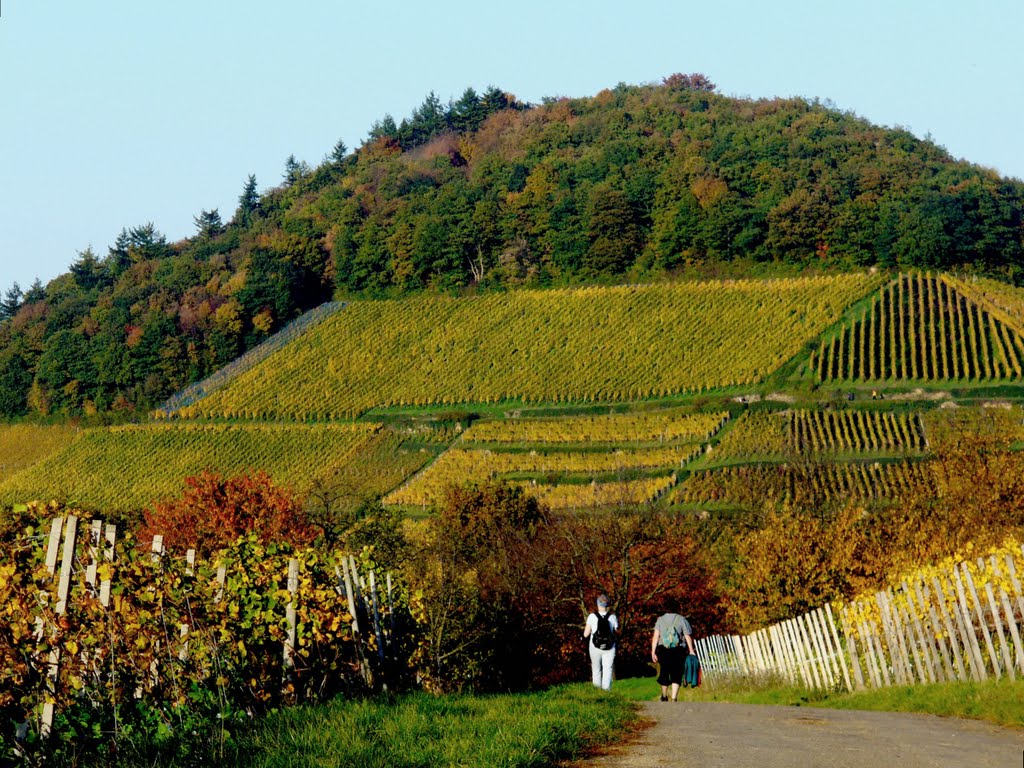 Bei Sulzburg im Markgräflerland by Thomas Ahlmeyer