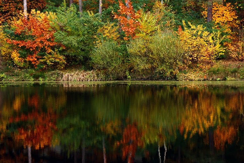 Herbstfarben / Colors of Fall by ThomasK.