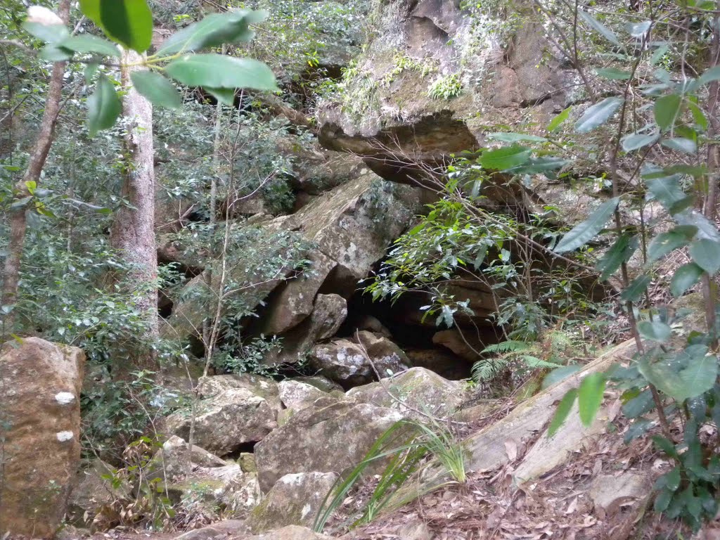 Large Rocks next to Berowra Track by robsonap