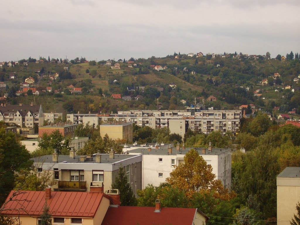 Zalaegerszeg Kertváros és Egerszeg hegy látképe a Jánkahegyről by Sipos András Zalaegerszeg és Das Haus ingatla