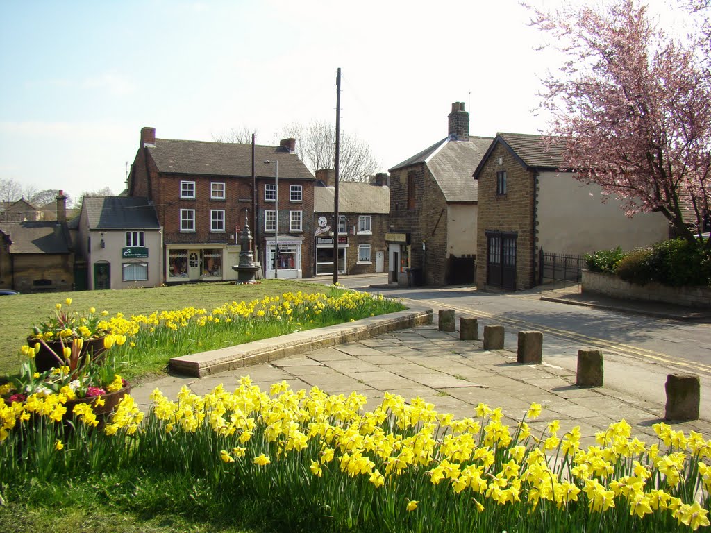 Daffodil display at the entrance to St. Mary's church yard looking towards Priory Road and Church Street, Ecclesfield, Sheffield S35 by sixxsix