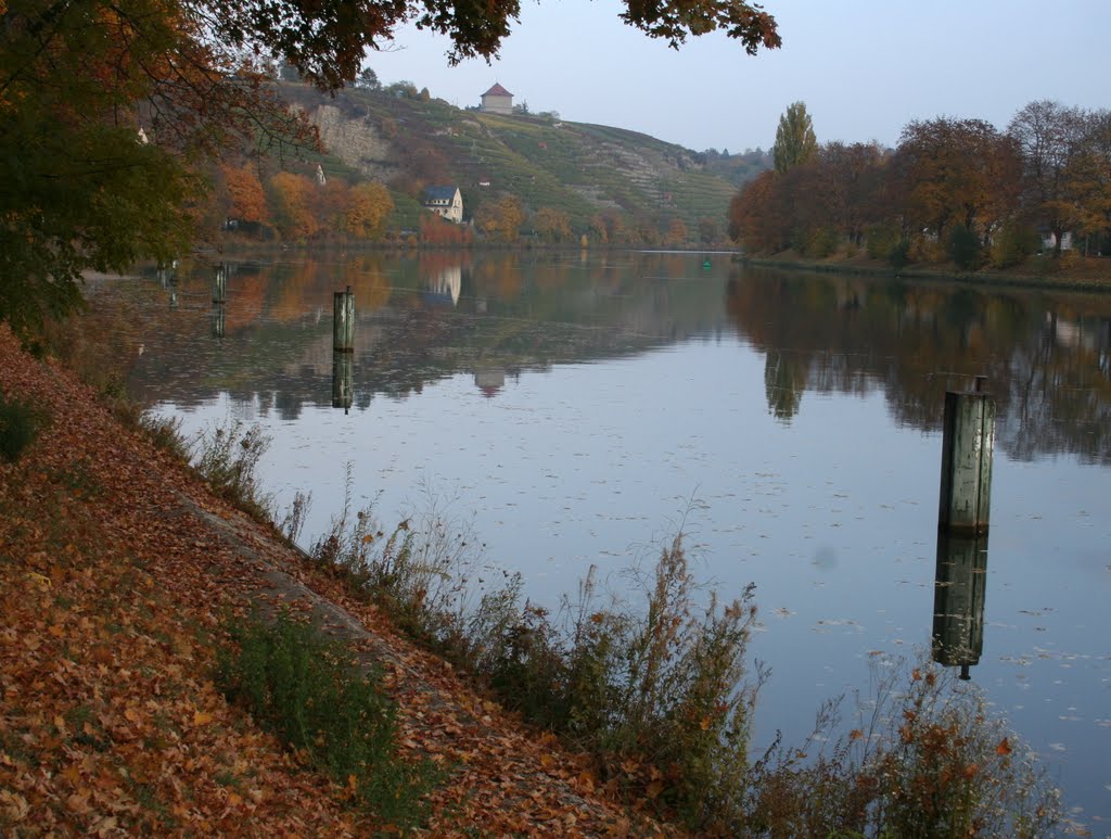 Am Neckar bei Bad Cannstatt by H.-Gerd Brunnert